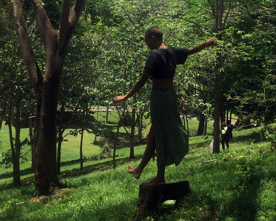 Woman balancing on tree trunk in wooded area