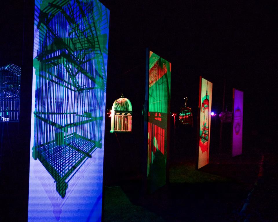 Remnant Ecologies - By Jony Easterby
