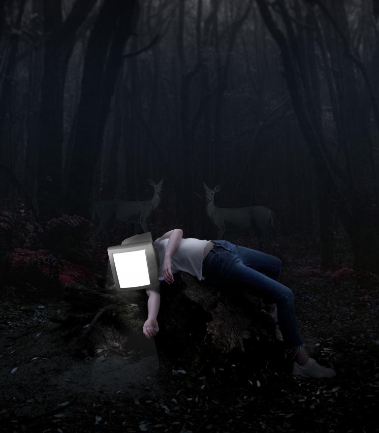 A person with a glowing computer monitor for a head lies on the ground of a dark wood with deer standing behind them