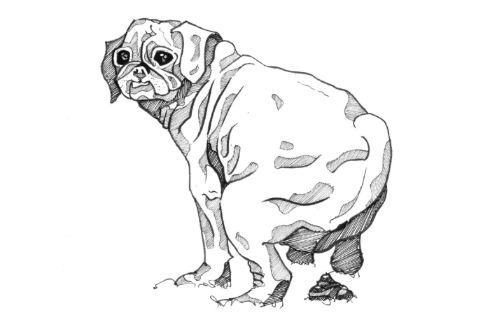 An illustration of a dog shitting 