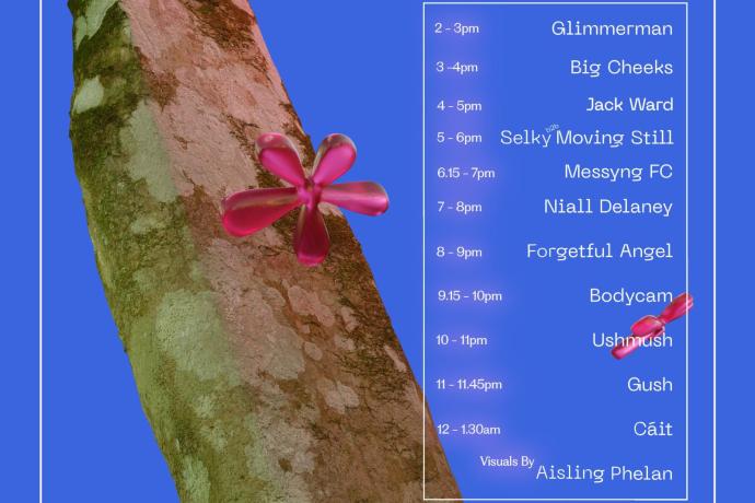 Day schedule for Comfort Carnival