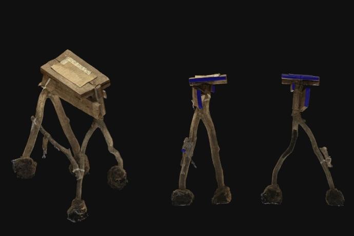 Three different walking sticks arranged together, highlighting their diverse shapes and functionalities for users.
