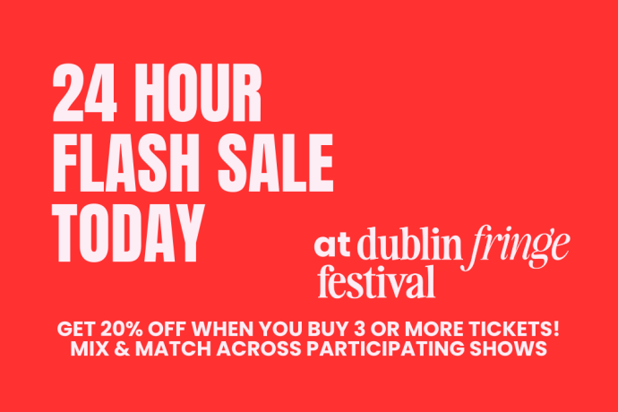 promotional asset for a 20% one day only flash sale