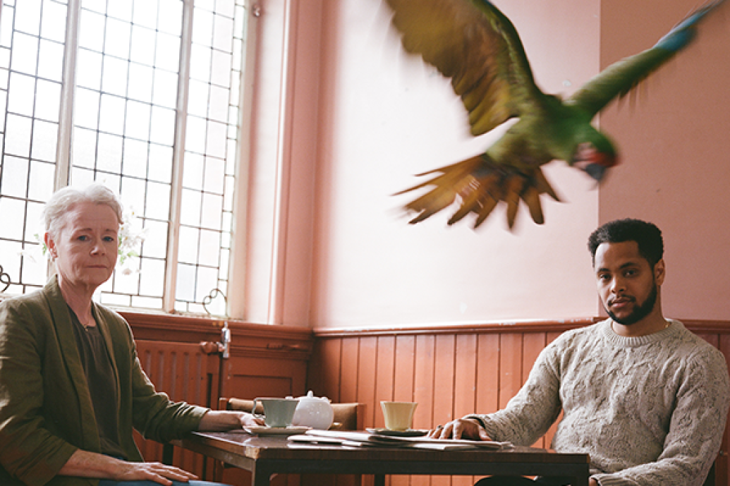 A seated woman and man at a table, looking to camera in a wood panelled room with a green parrot mid flight in front of him